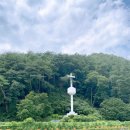 배론성지 | [성당탐방기] 가톨릭 성지이자 사계절 힐링 여행지, 제천 배론성지 순례 후기💒🌿