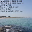 [양치기신부님의 말씀묵상] 우리의 시선을 낮추어 이미지