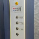 리스모어 | 김해 장유 대청동 애견동반카페 리스모어 LISMORE 여유로운 힐링 시간