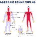 체온과 다이어트(체온 상승 다이어트) 이미지