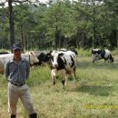 해남목장 이미지