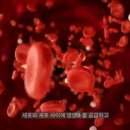 현대헬쓰케어