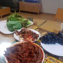 369포장마차 이미지