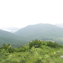 삼문산 진달래공원 티스토리