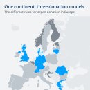 레나의원 이미지