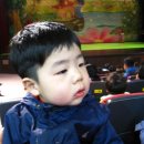 다희농장 이미지