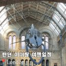 런던 자연사 박물관 예약 아이랑 여행일정 추천