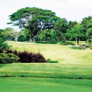 일로일로 이미지