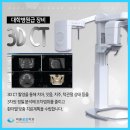 미소짓는돼지 이미지