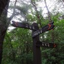 매화마을길 이미지