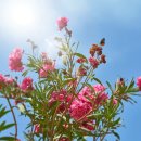 대한철강 이미지