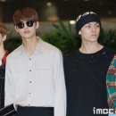 디노 이미지