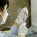 (주)한국바이오캐미칼 이미지