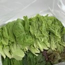 완정농장 이미지