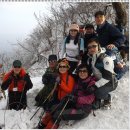 7080 골드팝송 이미지