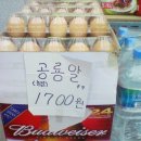 공룡알