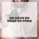 안심한의원 이미지