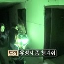 왔댕 이미지