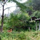 설악농장 이미지