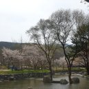 아라메길 (천년미소길) | 서산 (아라메길 1코스: 천년미소길) - 서산한우목장, 개심사, 해미읍성