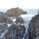 강동해수온천 이미지