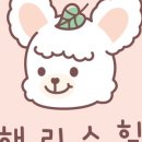 해리스 스토어 이미지