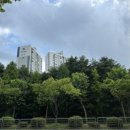 수내동소방서.쌍용아파트 이미지