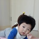 한결31 이미지