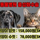 청평동물병원 이미지