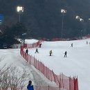 곤지암리조트 눈썰매장