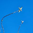 하루부동산중개 이미지