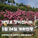 동명초등학교 | 대청호 장미축제 개화현황(5월 24일)ㅣ주말 데이트 코스로 추천하기엔 2% 아쉬운 솔직후기
