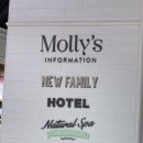 몰리스펫샵 센텀 이미지