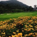 해피니스컨트리클럽(회원제) 이미지