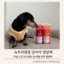 안녕 댕댕아 | 13살 노견 강아지 눈·관절 관리, 뉴트리댕댕 영양제 내돈내산 후기