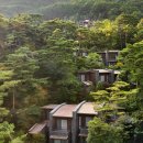 (5월 1일 2일 3일 4일) 제천 레스트리/포레스트 리솜 / 덕산 스플라스 리솜 / 안면도 아일랜드 리솜! 이미지