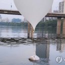 북한이 8∼9일 대남 오물 풍선 330여개를 살포 이미지