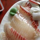 보성다비치콘도 이미지