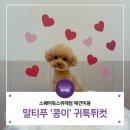 스퀘어독스 위례 이미지