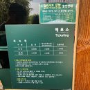죽녹원 | 전남 담양 명소 죽녹원 후기 l 입장료 정보