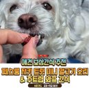 (주)더균형 | 강아지 빗질 보상 간식 추천! 페스룸 저키 트릿 미니 말고기 오리 &amp; 주트립 와프간식 솔직 후기