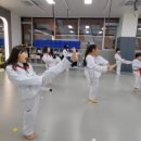 경희대 위드 태권도 이미지