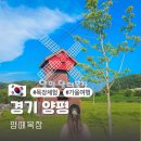 지당목장 | 9월 10월 양평 가볼만한곳 양떼목장 유모차