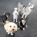 견학생스쿨 이미지