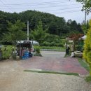 SKY비발디펜션 이미지