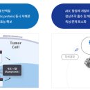 피노