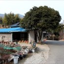 수선정사 이미지