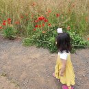 쌍둥이목장 이미지