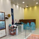 달링하이 강아지분양 창원점 이미지