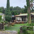 빈티지제주 이미지